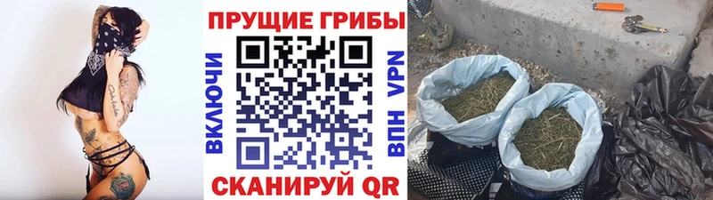 Псилоцибиновые грибы Magic Shrooms Юрьев-Польский